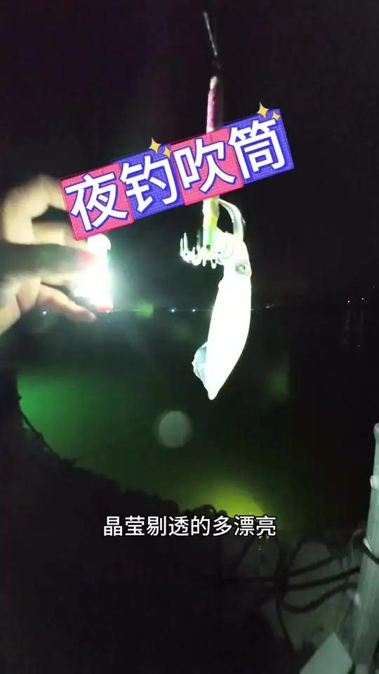 鱿鱼筒太多了,随便都能矛中~