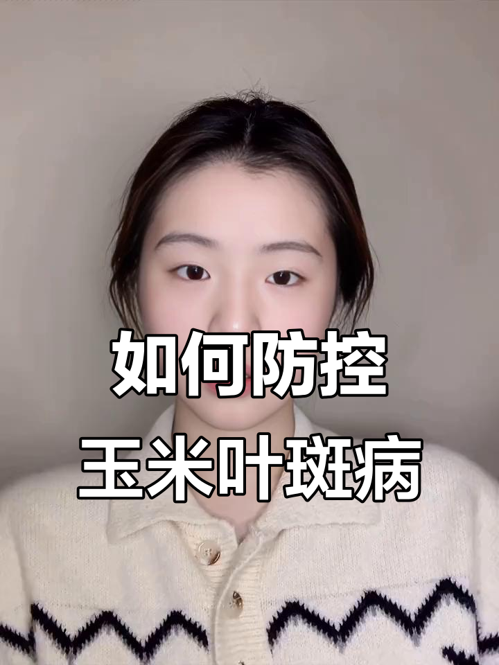 玉米弯孢叶斑病防治全攻略:从选种到管理技巧
