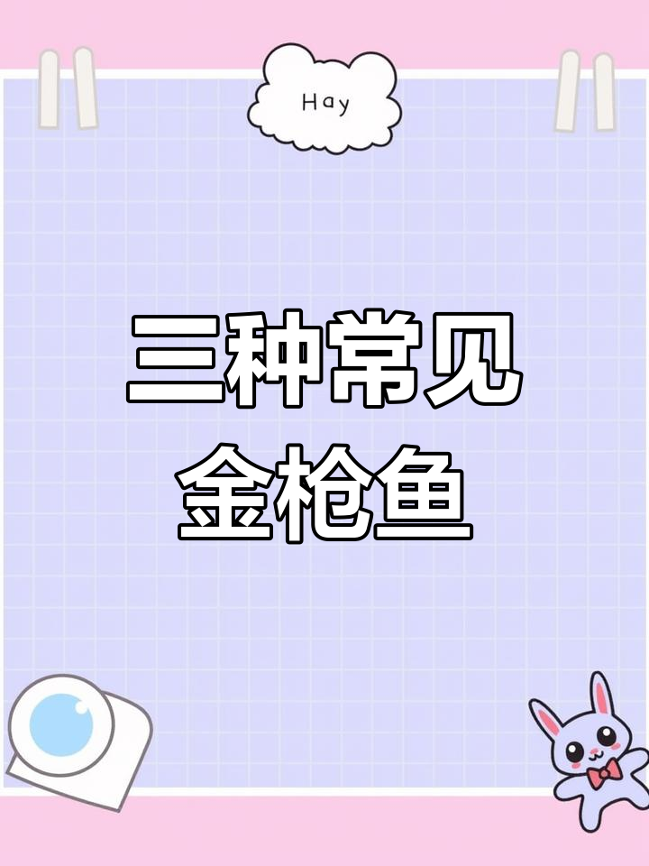 中西太平洋三大金枪鱼种类解析