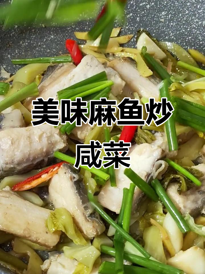 汕尾麻鱼炒咸菜,肉嫩味鲜,搭配米饭绝佳