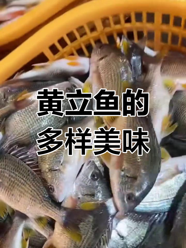 黄立鱼,鲜美可口,多种做法任选