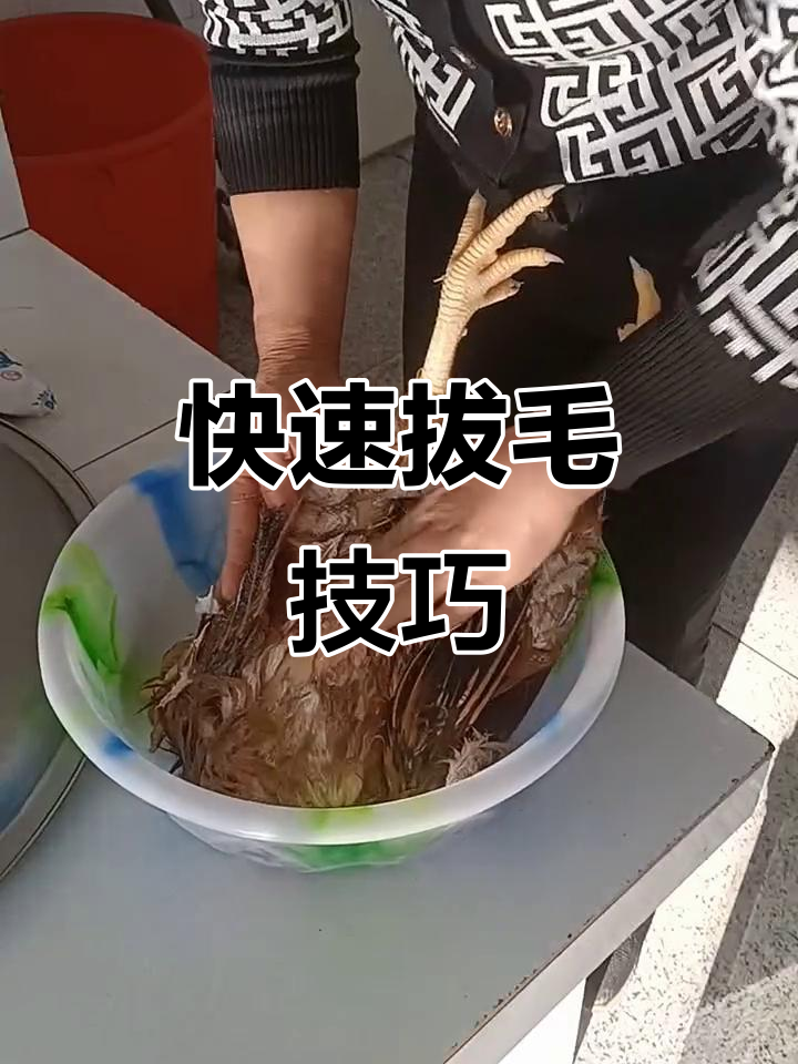 东北农村公鸡去毛妙招,轻松搞定!