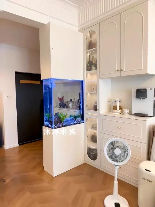 嵌入式鱼缸隔断,恭喜我的客户入住新家