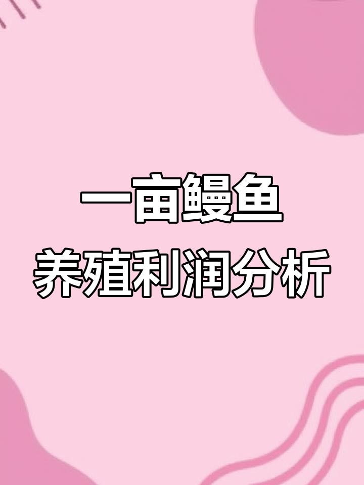 鳗鱼养殖一亩地能赚多少钱?技术、资金与运气的完美结合