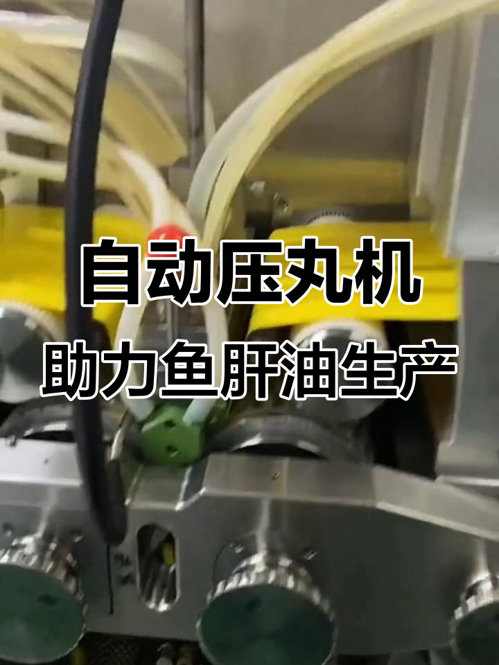 鱼肝油软胶囊自动化生产线,八百毫克规格轻松搞定