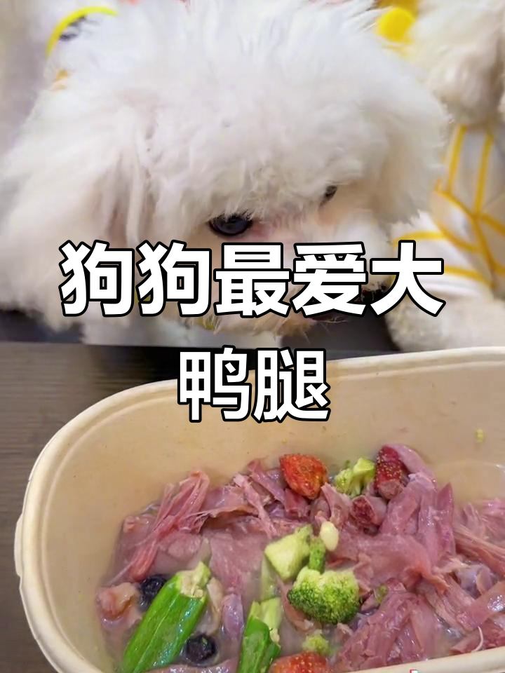 整根鸭腿,骨头酥软,果蔬搭配,狗狗吃得停不下来!