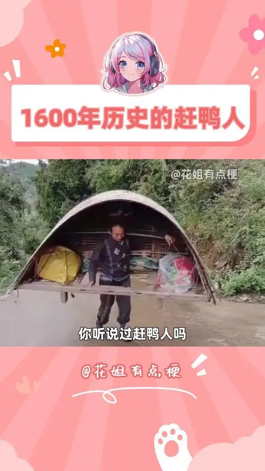 赶鸭人:风餐露宿1600年,如今却站在消失边缘