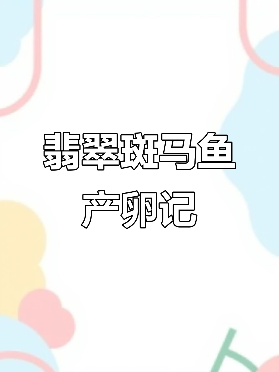 翡翠斑马鱼繁殖挑战：密密麻麻的卵，孵化过程大揭秘