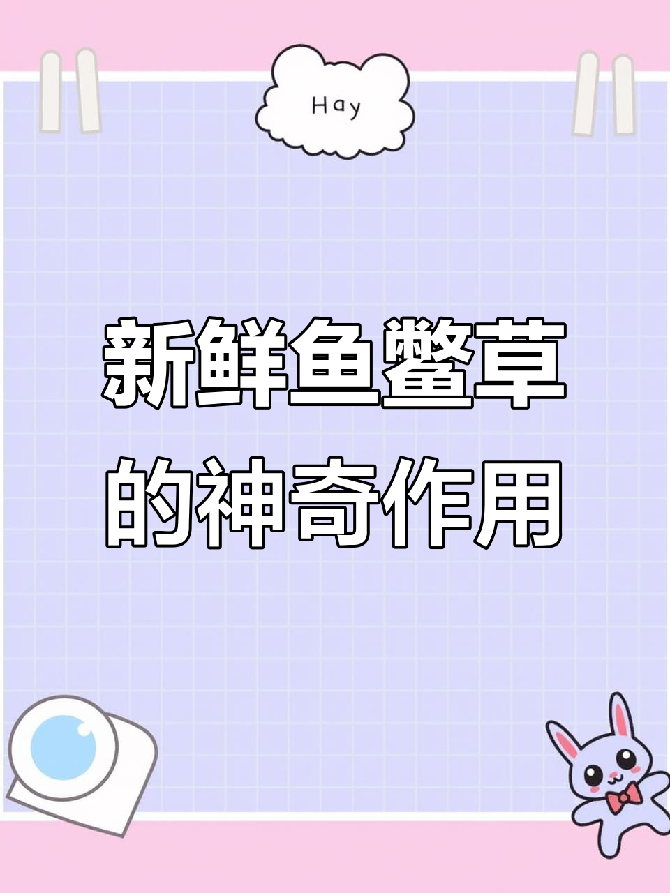 新鲜鱼鳖草，功效超乎想象