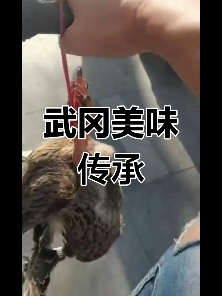 武冈血酱鸭,历史悠久的美味佳肴!