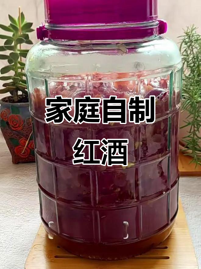自制葡萄酒，色泽鲜红、酒香浓郁，零添加发酵过程全记录