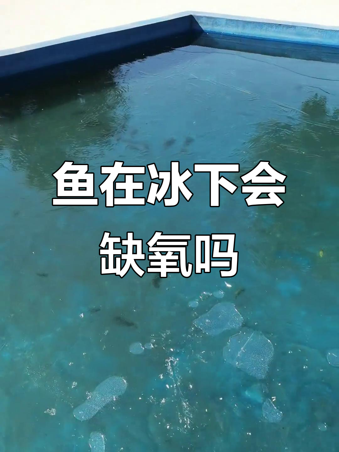 冰层下的鱼会不会缺氧?乡下的冬季景象