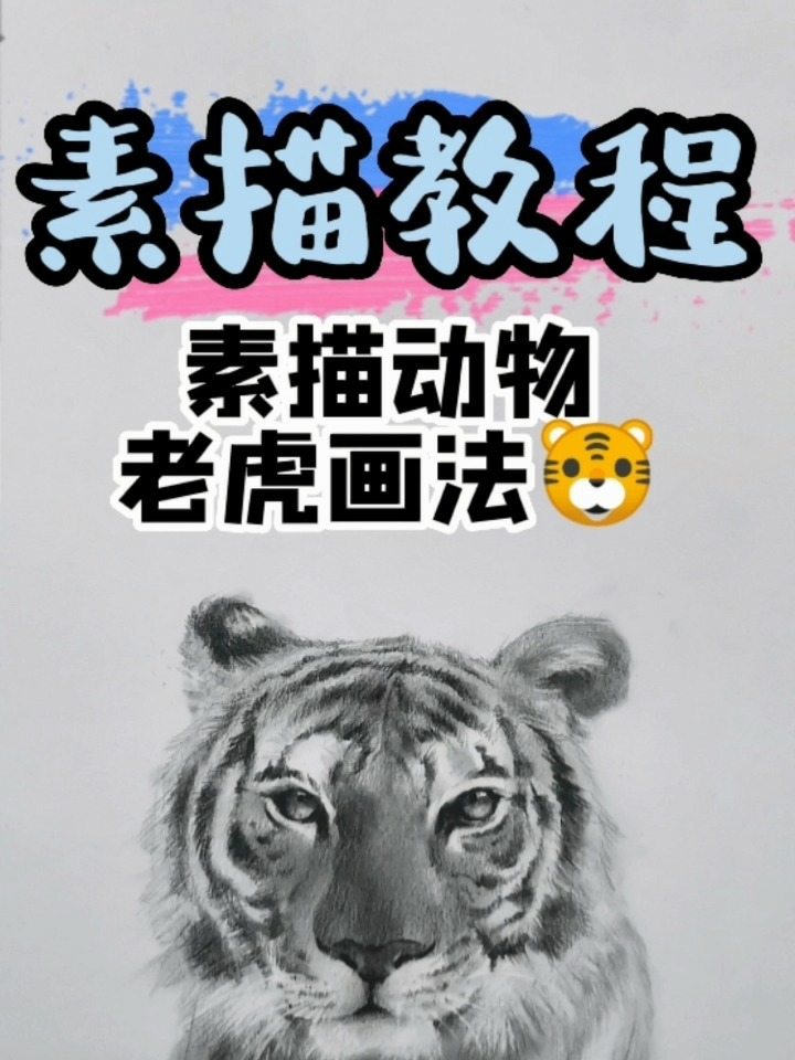 一起画一只威武霸气的大老虎!