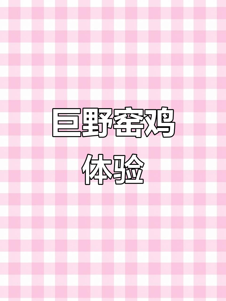 巨野县窑鸡项目现场:烟火与自然的完美融合