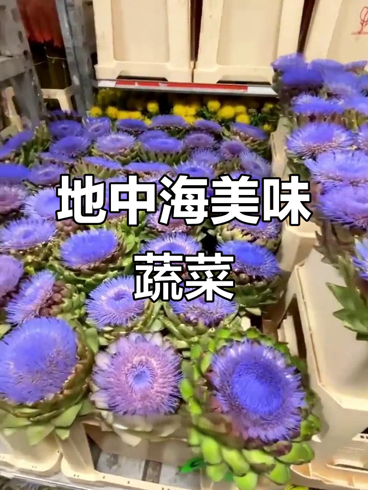 这种地中海蔬菜,营养丰富又易种,正是种植的好时机