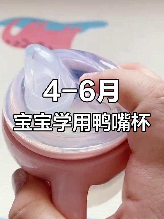 宝宝从4个月开始用鸭嘴杯,避免奶瓶带来的牙齿问题