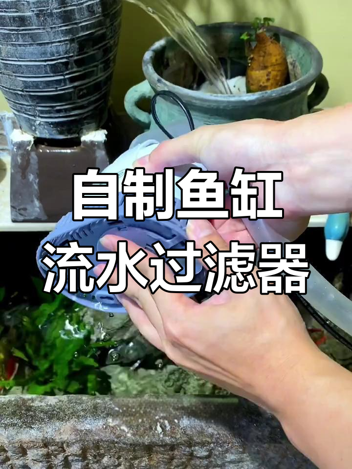 打造家用鱼缸瀑布过滤系统,轻松养鱼