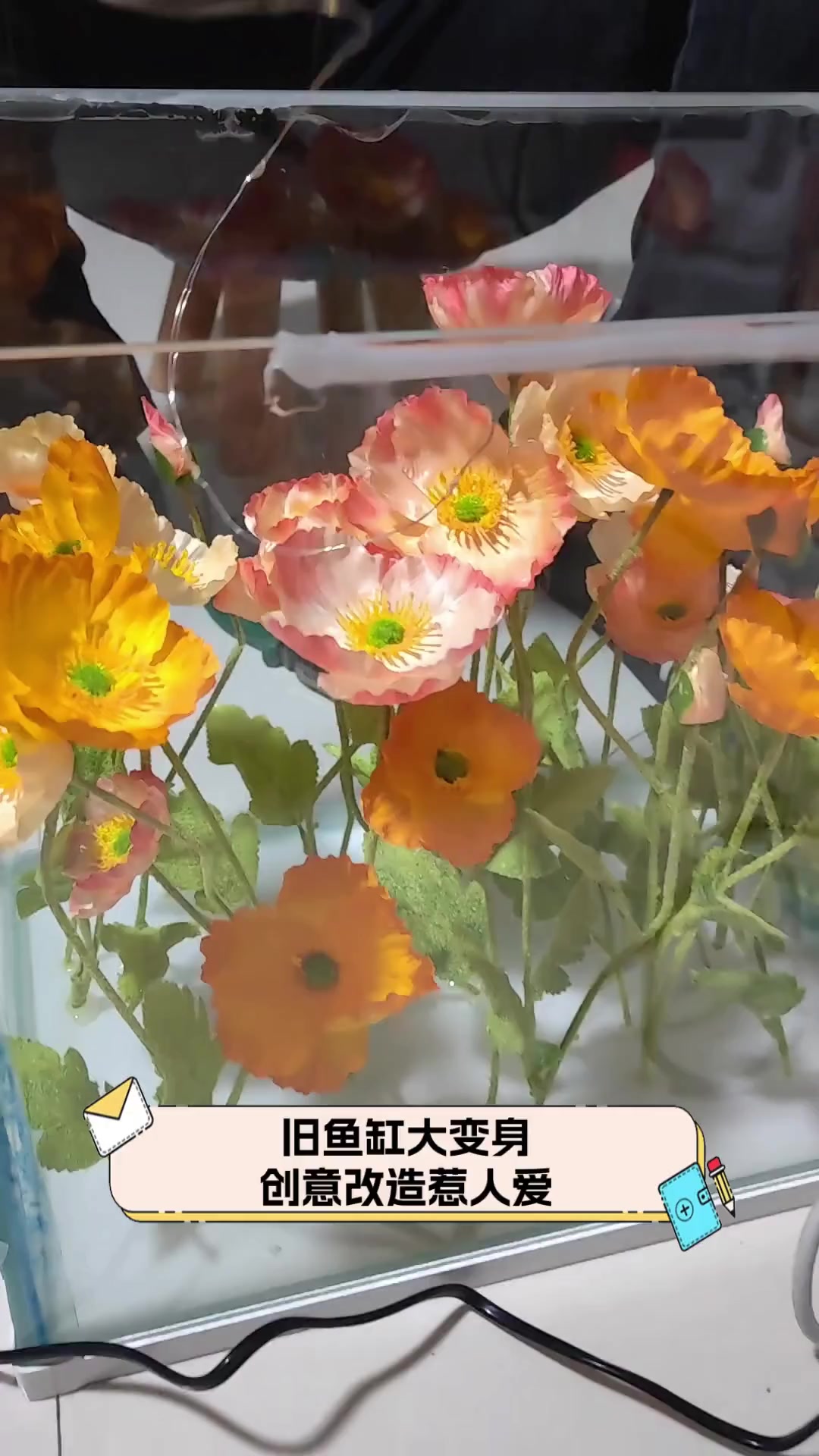 旧鱼缸大变身,创意改造惹人爱