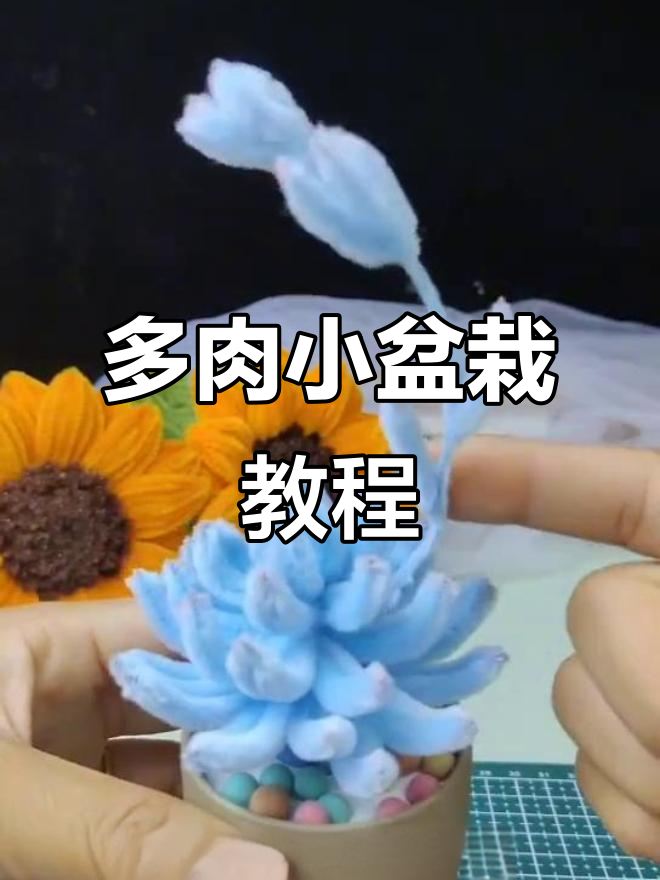轻松做出可爱多肉小盆栽,步骤超简单
