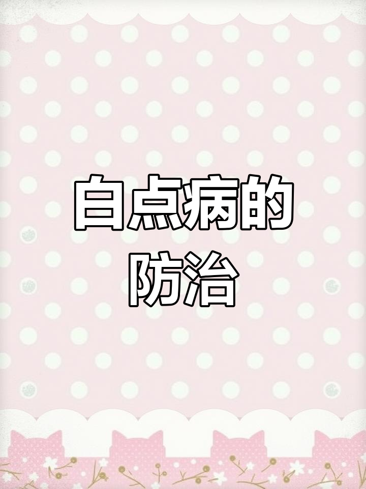 鱼得白点病,传染迅速!如何治疗?