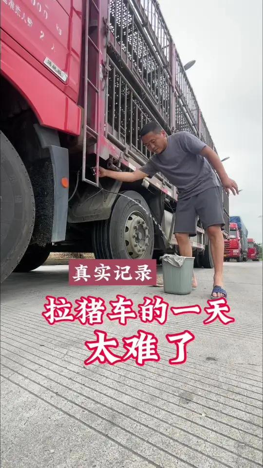 拉猪车的一天,太难了……