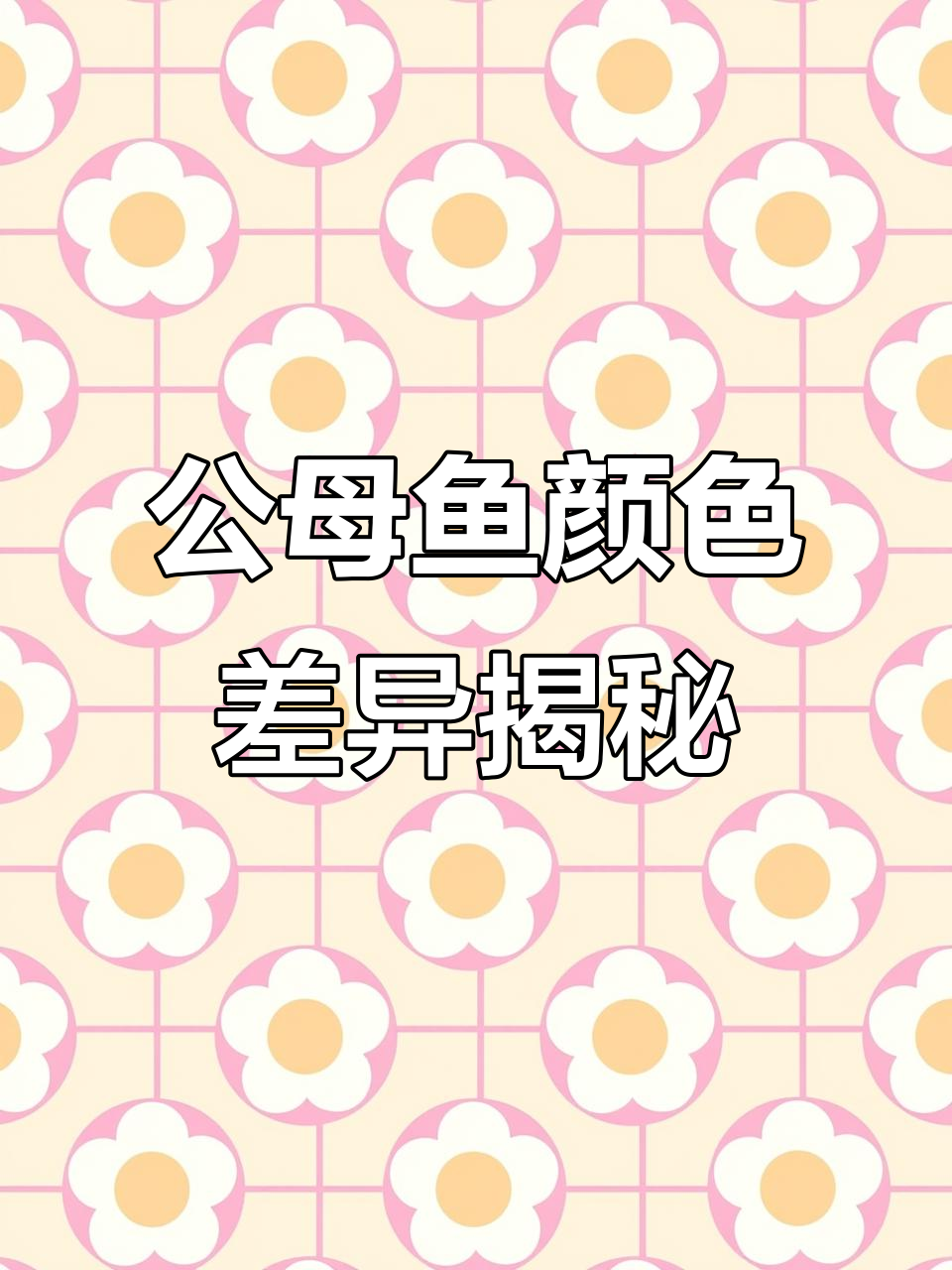 自然发色的公鱼更美,灯光还原度才是关键
