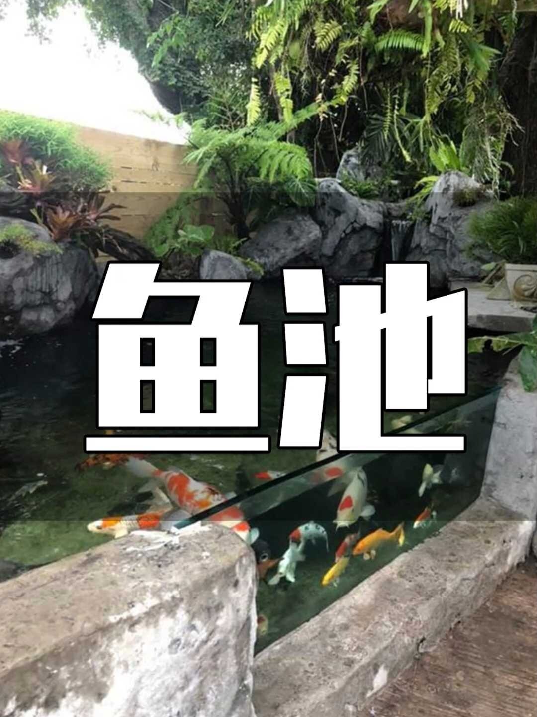 庭院鱼池设计 打造自然美景的完美户外空间