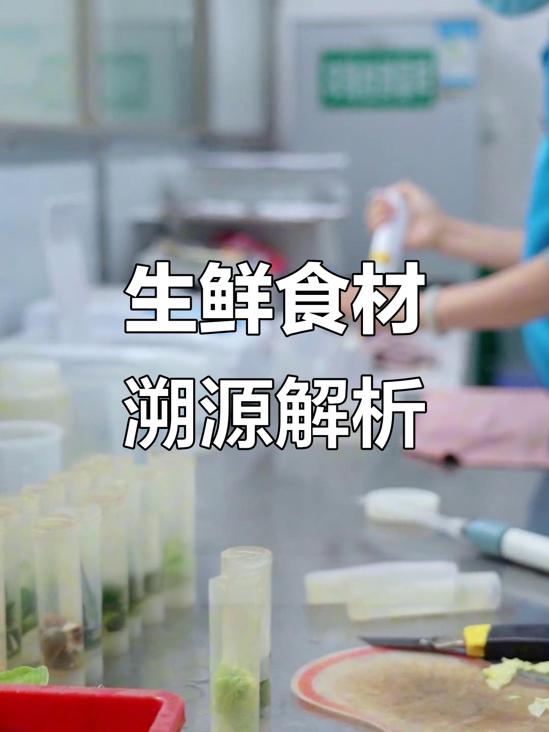 菜管家生鲜食材溯源全流程揭秘,如何确保食品安全与合法性