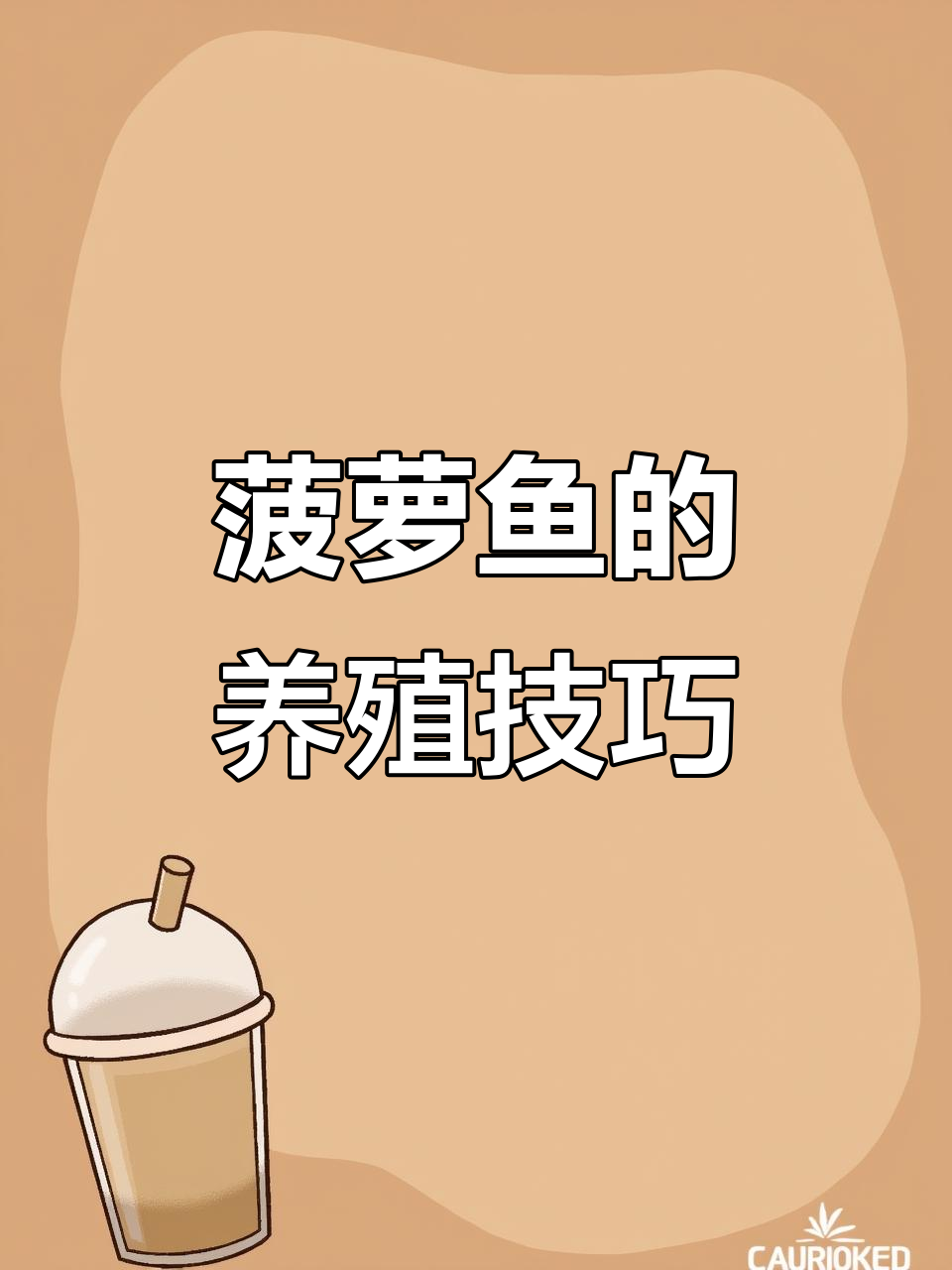 菠萝鱼性情与养护全攻略:如何避免打架,保持健康