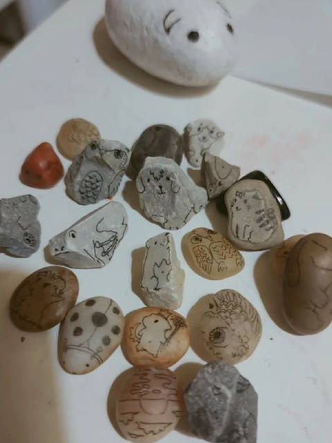 「“硬”核小宠!9岁女孩集小石子作画当宠物 妈妈:每块石头都会赋予角色」11月9日,北京。