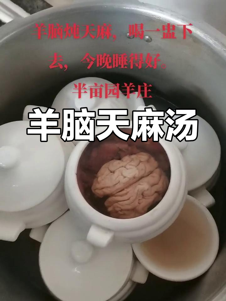 羊脑炖天麻,今晚睡个好觉