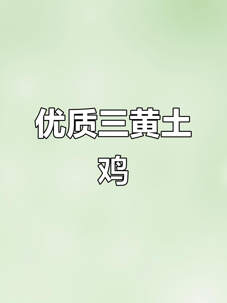 三黄土鸡,品种多样,价格实惠,质量上乘