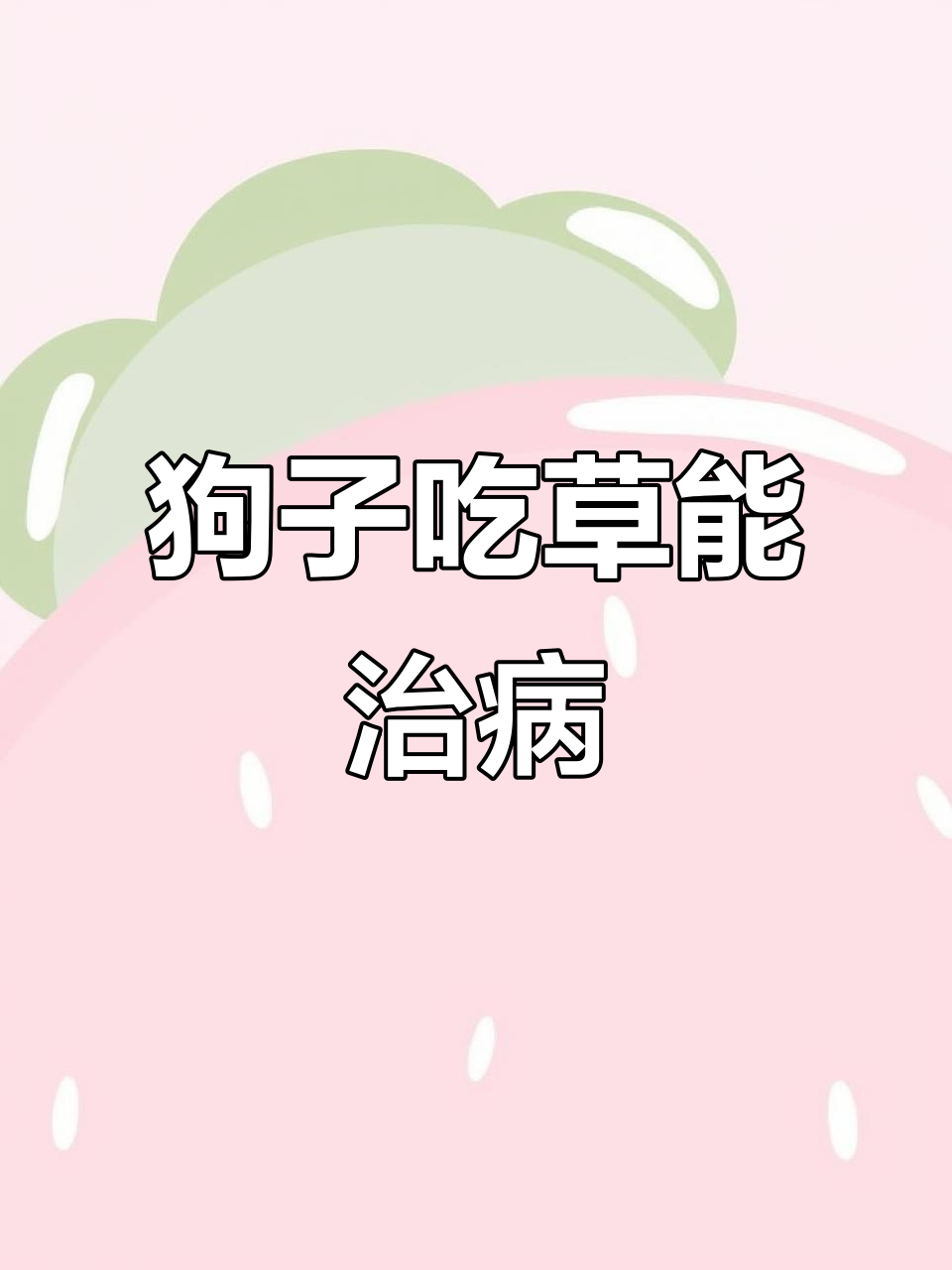 狗狗吃草竟是为了治胃病,仙人球也能帮忙缓解不适