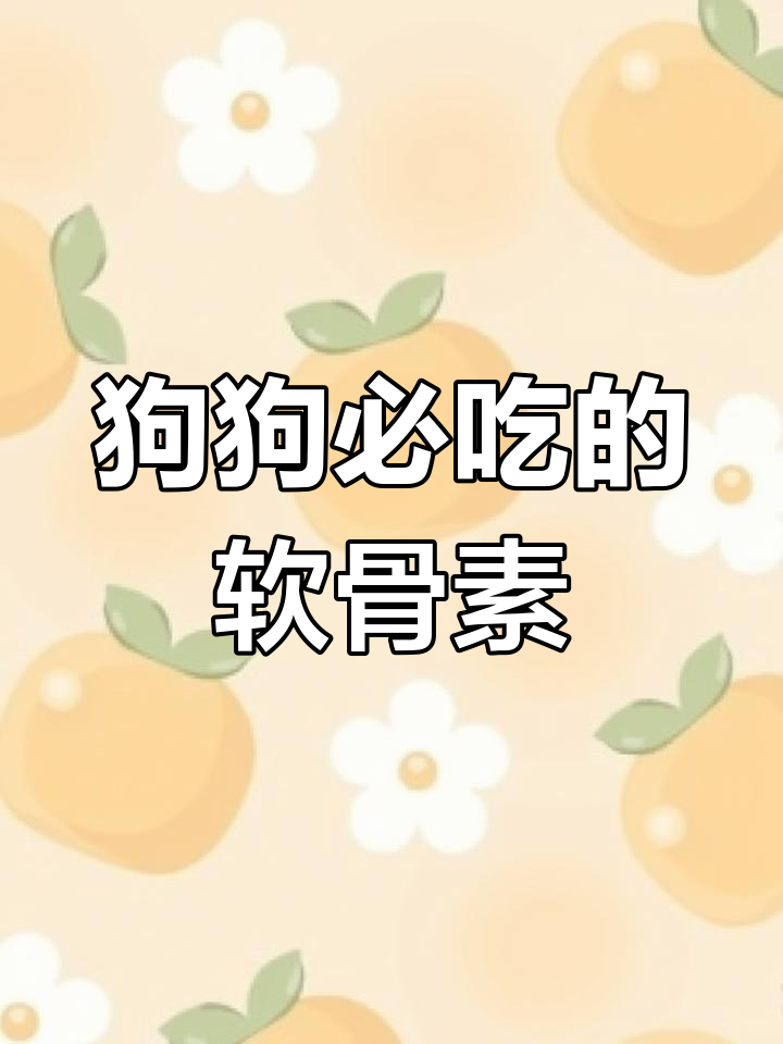 狗狗关节健康必备:鲨鱼软骨素早吃有好处