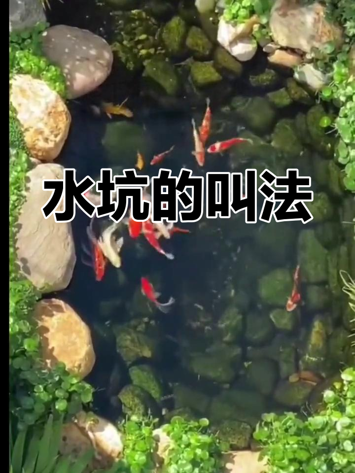 水的各种称呼与形态