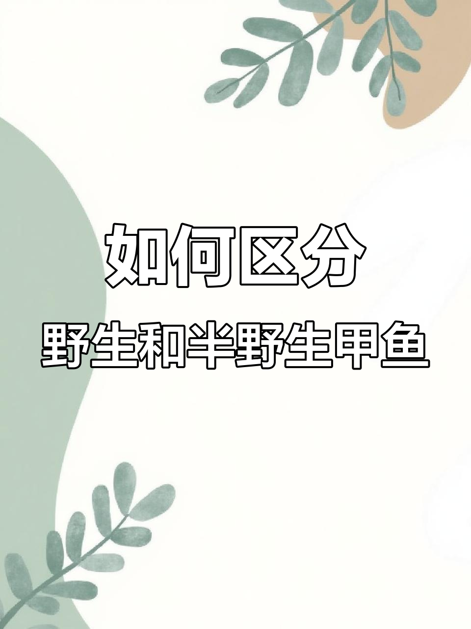 野生甲鱼与半野生的区别,爪子颜色能说明问题吗?