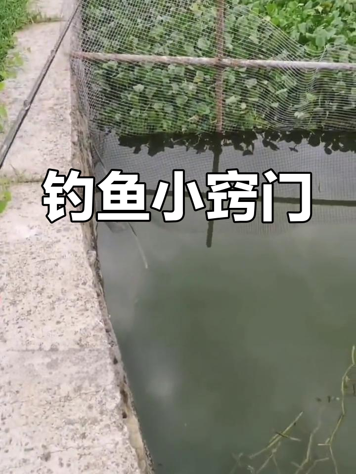 夏季钓鲈鱼,悬浮技巧让你屡试不爽!