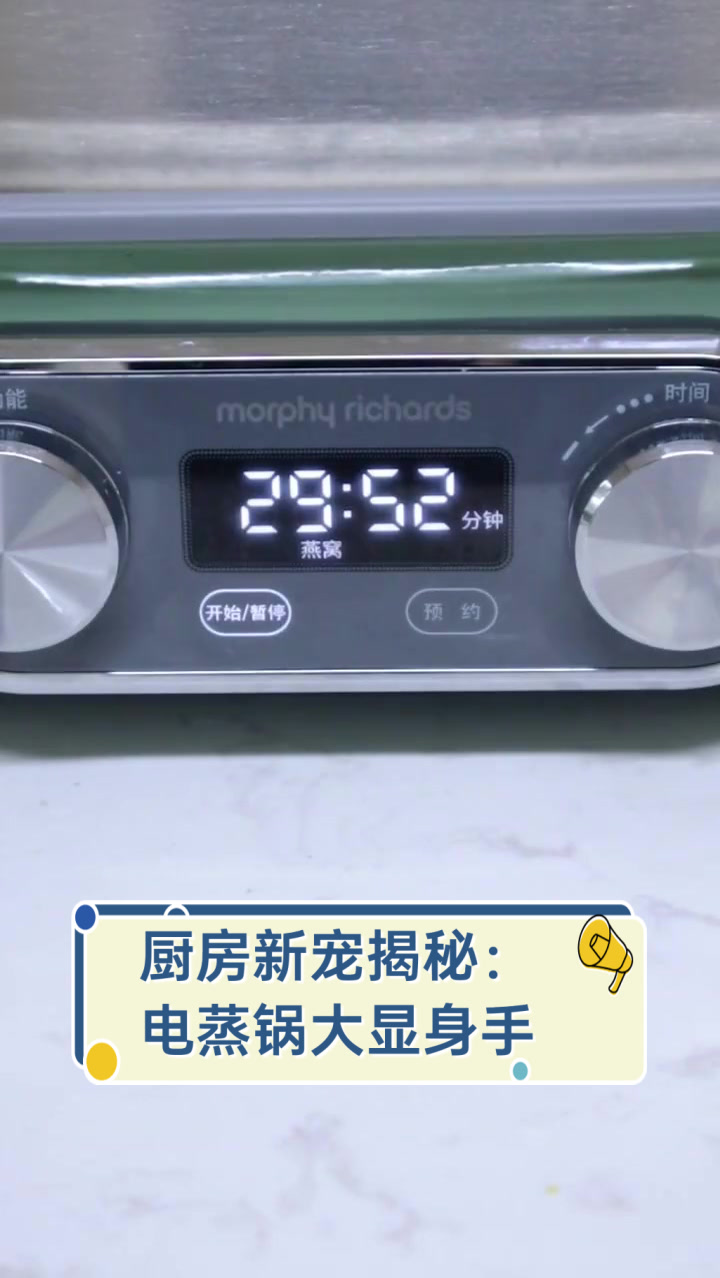 厨房新宠揭秘：电蒸锅大显身手