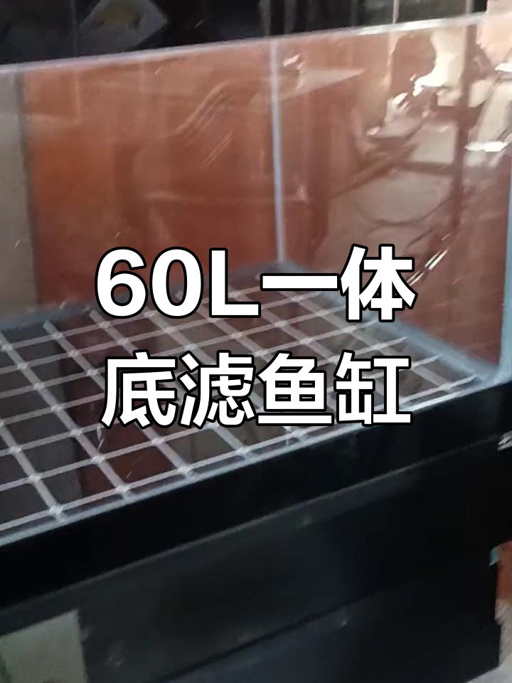 一体底滤鱼缸,60长40宽高66,三面八毫米设计