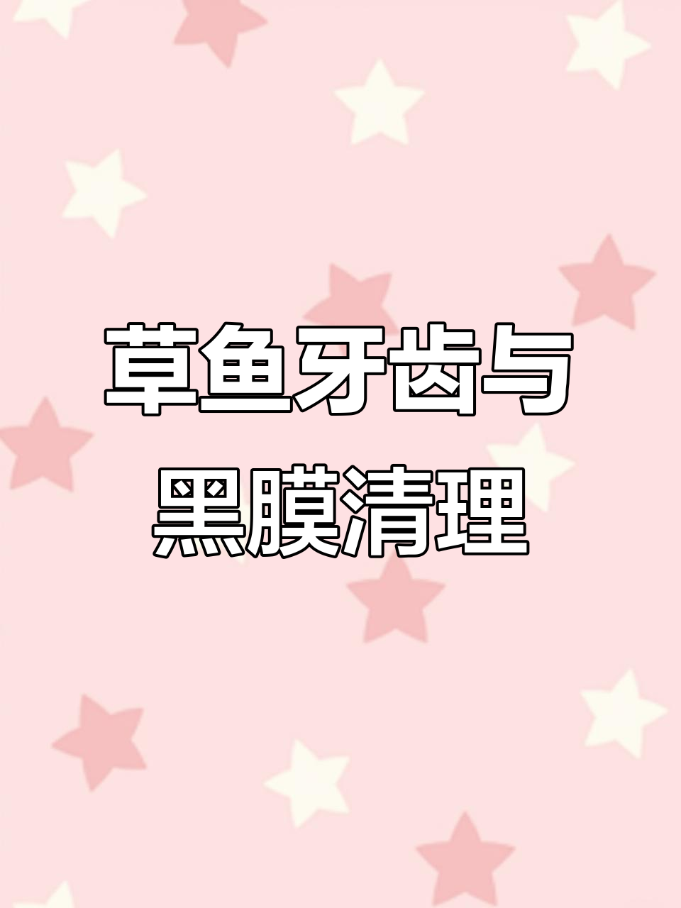 草鱼牙齿揭秘,黑膜处理技巧大公开