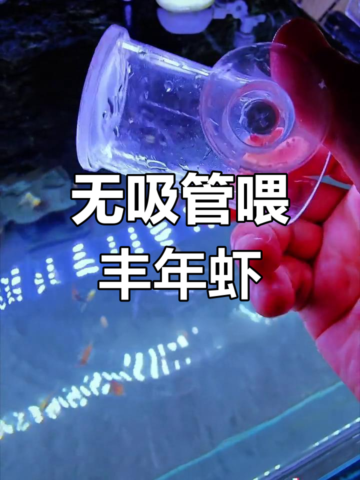 丰年虾喂食器使用技巧,轻松投喂不浪费