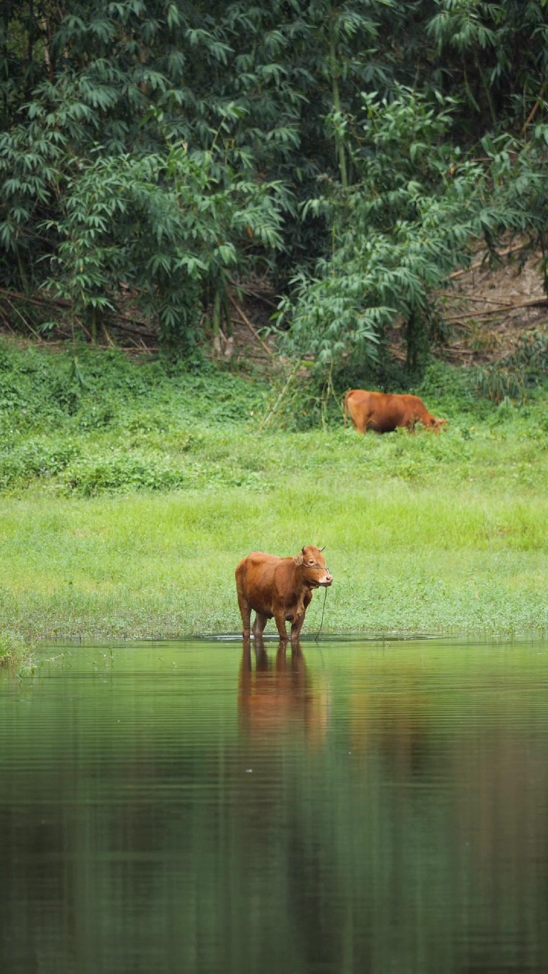 徽州不吃宴 唐山不撸串 青岛不吃虾 杭州不理发 鱼钩不上学 上海不打工 哈尔滨不开网约车 