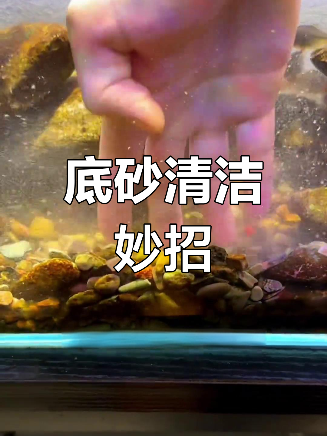 长期养鱼,底砂变黑?用泡腾片轻松解决,小鱼虾需减量