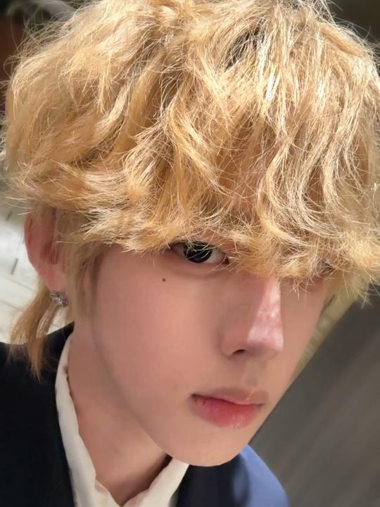 我只是一颗烂白菜