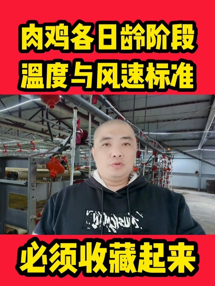 肉鸡各日龄适宜温度和风速!