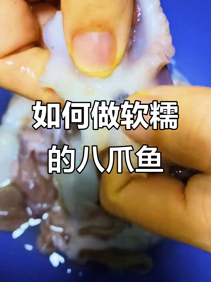八爪鱼煮不烂?教你正确做法,鲜嫩又美味