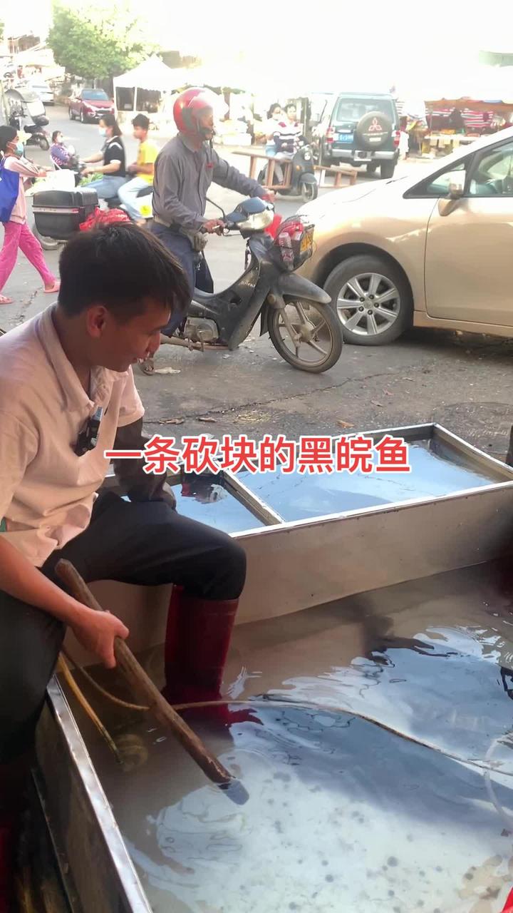 八斤四两黑皖鱼，你们喜欢怎么烹饪？