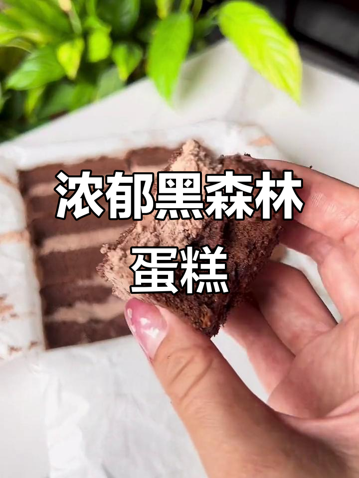 黑森林蛋糕升级版，硬奶油加多巧克力味更浓