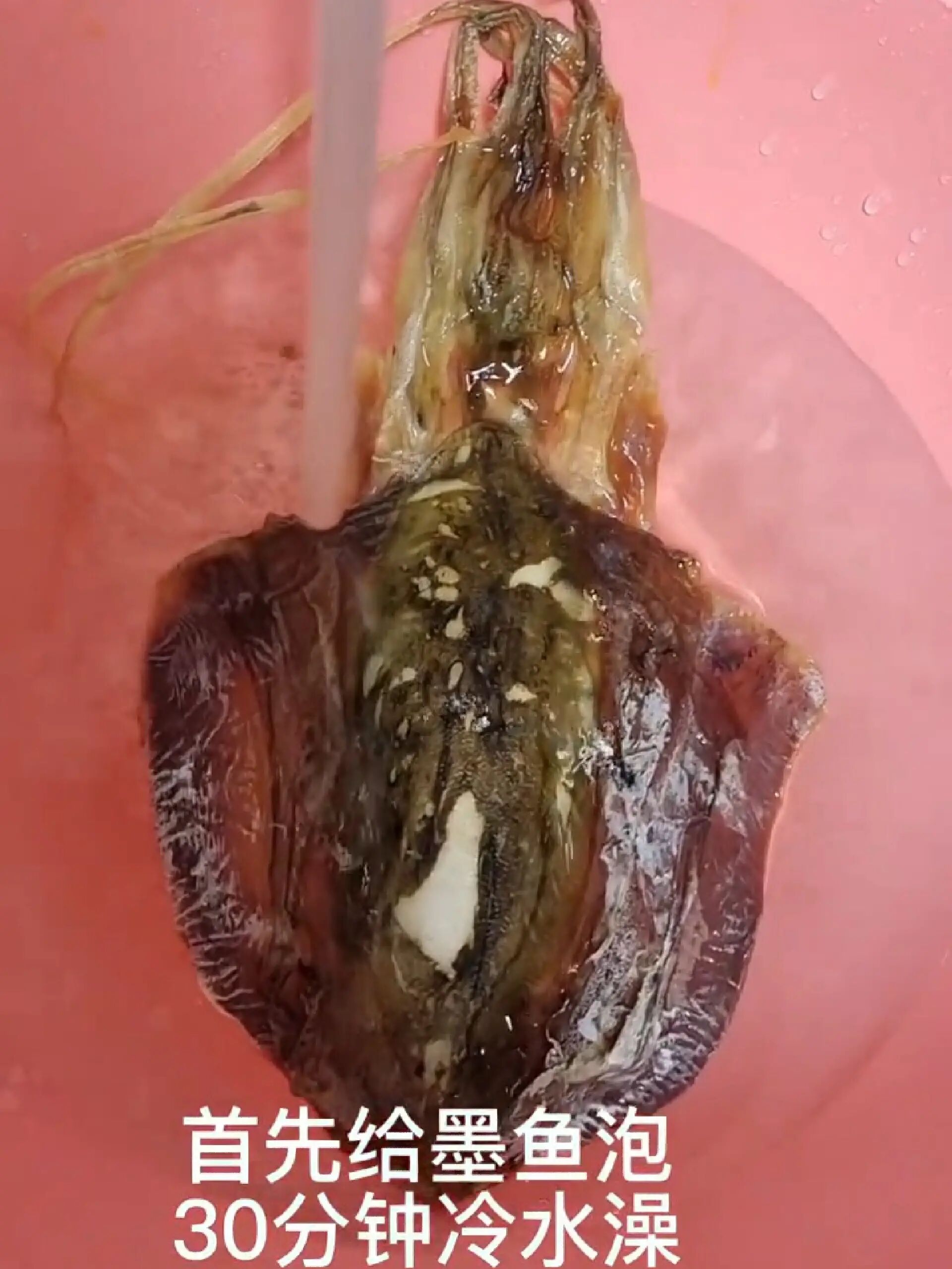 墨鱼干就是要这样处理,对你超有用哦