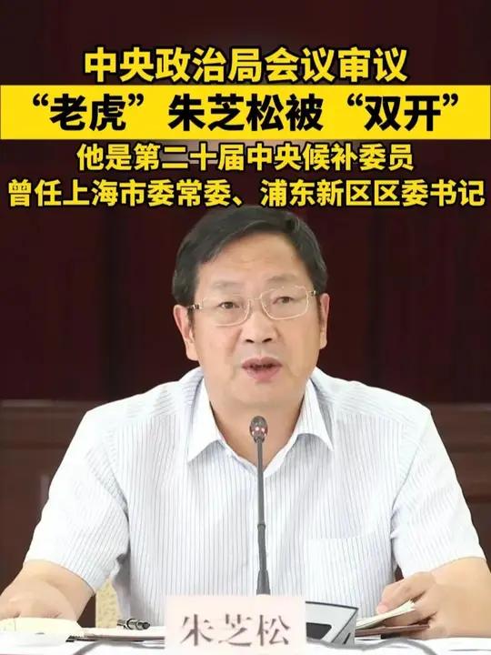 “老虎”朱芝松被“双开” 他是第二十届中央候补委员,曾任上海市委常委、浦东新区区委书记上海